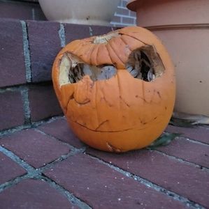 Meet your Posher, Taylour